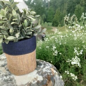 Jute Planters